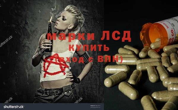 apvp Алзамай