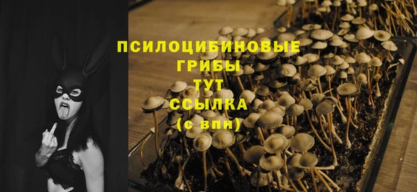 apvp Алзамай