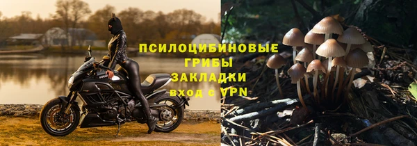 apvp Алзамай