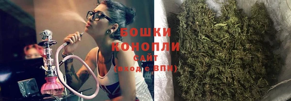 apvp Алзамай