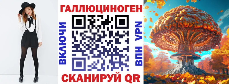 Купить  Владимир  Псилоцибиновые грибы Psilocybe 